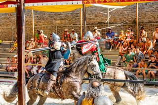 Tournois de Chevalerie et fauconnerie Tournois de Chevalerie et fauconnerie