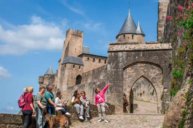 visite-guid-e-avec-les-chiens-dans-la-cit-m-di-vale-47388